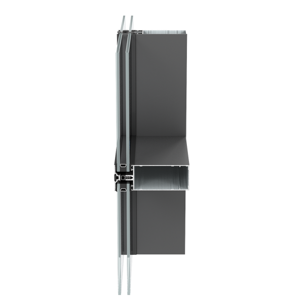 CW 50 Standard