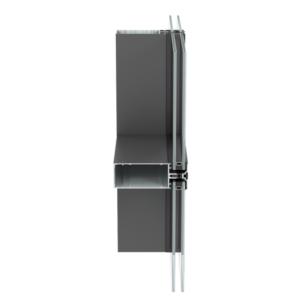CW 50 Standard