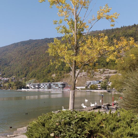 CS 86-HI (c) Cancelled Systems and ConceptWall 50 Façades - Private Apartment Beaurivage Apartments located in Biel, Switzerland